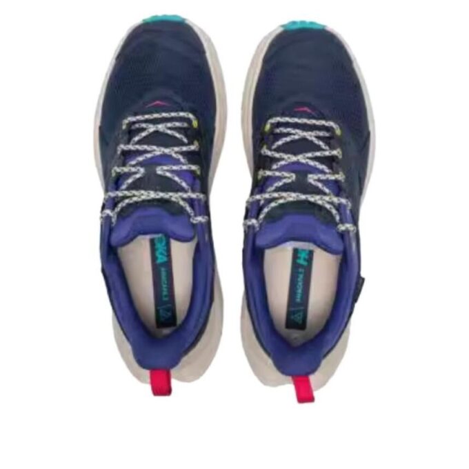 Anacapa 2 ‘Varsity Navy Mountain Iris’