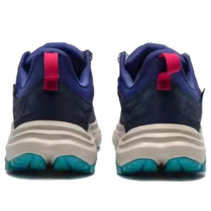 Anacapa 2 ‘Varsity Navy Mountain Iris’