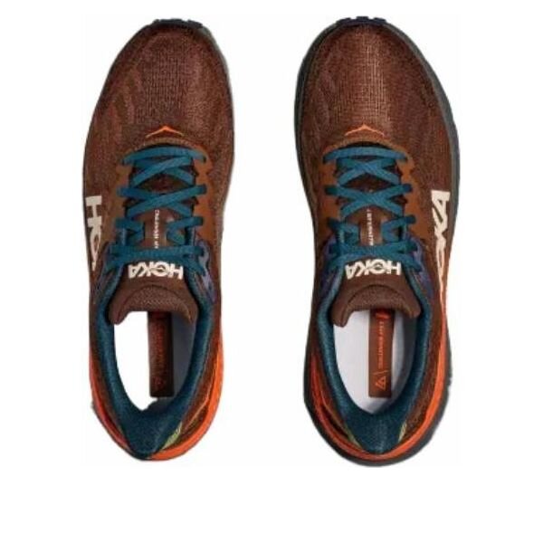 Challenger 7 ‘Mineral Brown Asteroid’ Challenger 7 ‘Mineral Brown Asteroid’