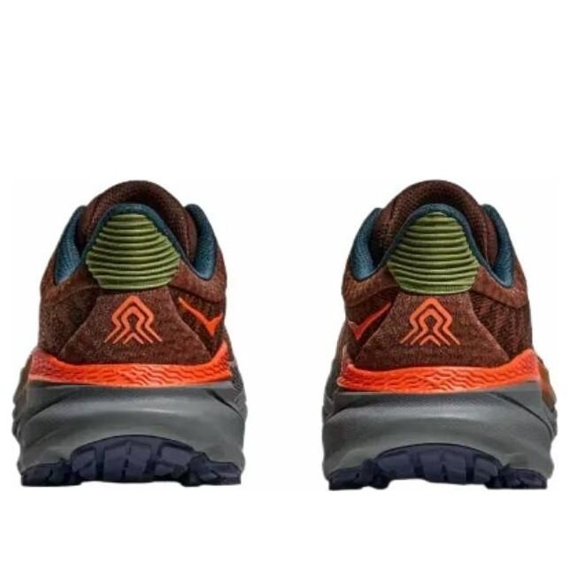 Challenger 7 ‘Mineral Brown Asteroid’ Challenger 7 ‘Mineral Brown Asteroid’