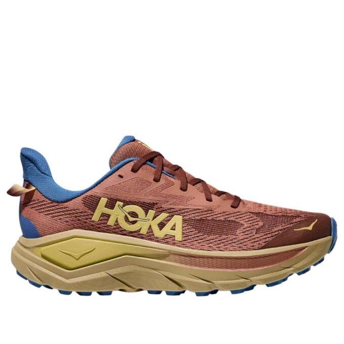 Challenger 8 ‘Maple Cardamom’