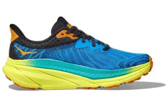 Challenger ATR 7 ‘Diva Blue Evening Primrose’