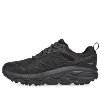 Challenger Low Gore-Tex ‘Black’