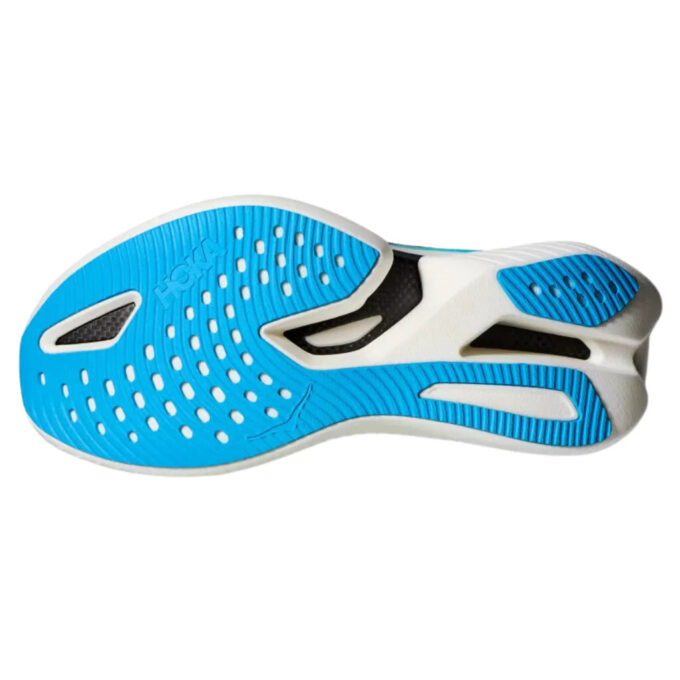 Cielo X1 ‘Evening Sky Lettuce’