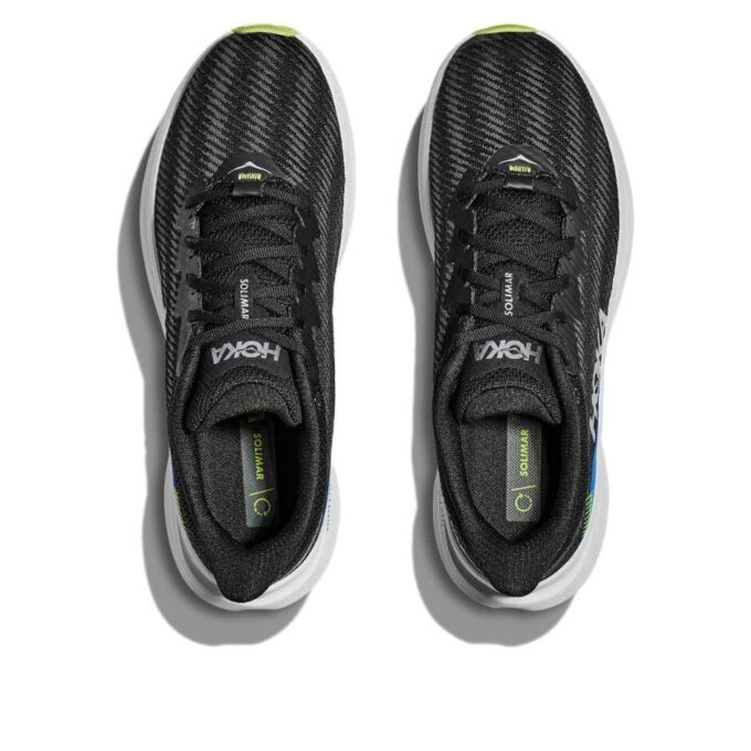 Solimar ‘Black Lettuce’ Solimar ‘Black Lettuce’