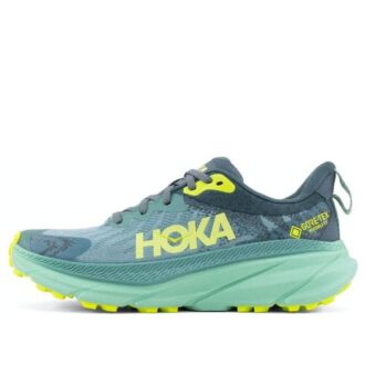 (WMNS) Challenger ATR 7 GTX ‘Trellis Balsam Green’