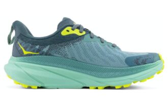 (WMNS) Challenger ATR 7 GTX ‘Trellis Balsam Green’