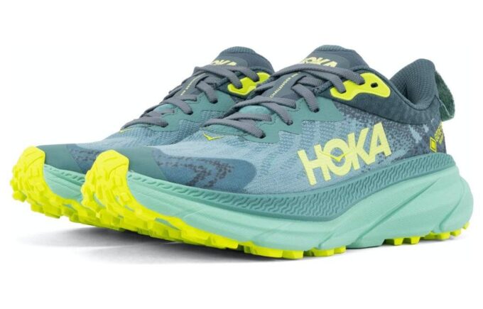 (WMNS) Challenger ATR 7 GTX ‘Trellis Balsam Green’